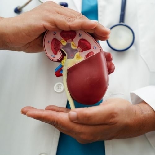 treatment of chronic fatigue treatment of chronic fatigue